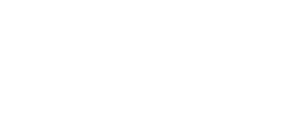Grok + NĪ Palīgs